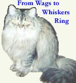 From Wags to Whiskers Ring
