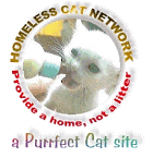 Purrfect Cat Site