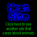 Next Stop Animal Cruelty site