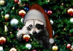 A Holiday Coon Pic - Happy Holidays! PLEASE WAIT FOR PAGE TO LOAD - Best Viewed with Netscape 3.0 or higher