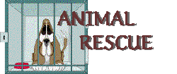 Matschca's animal help